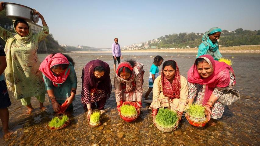 जम्मू में तवी नदी के हर की पौड़ी घाट पर नवरात्रि उत्सव के दौरान उगाए गए `जौ के पौधों` को विसर्जित करती महिलाएँ: देश भर में अन्य राम नवमी और नवरात्रि अनुष्ठान भी मनाए गए.