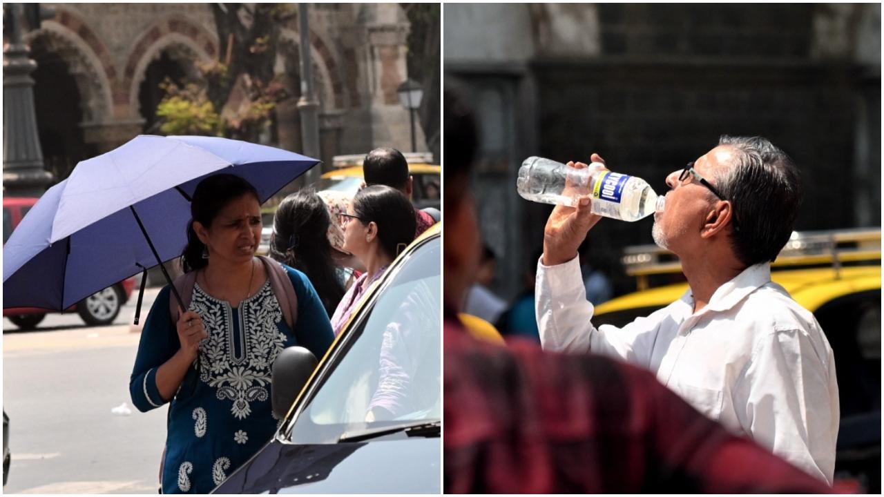 भारत मौसम विज्ञान विभाग (IMD) के मुताबिक, मंगलवार को मुंबई में आसमान साफ रहने की संभावना है, और मौसम का तापमान दिनभर सामान्य रहेगा. (PIC BY SAYYED SAMEER ABEDI)
