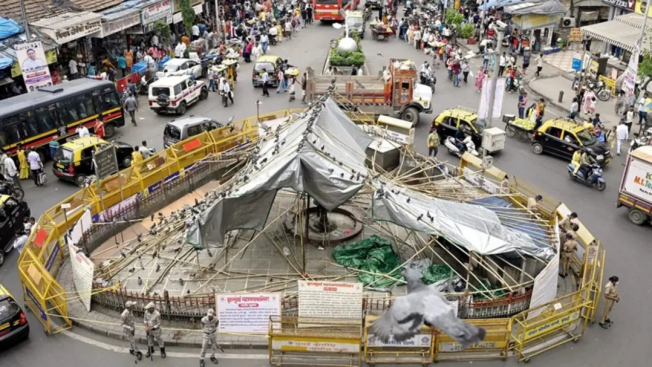 Iमुंबई में कबूतरों को दाना डालना बना बड़ा मुद्दा, बीएमसी ने मांगे जनता से सुझाव