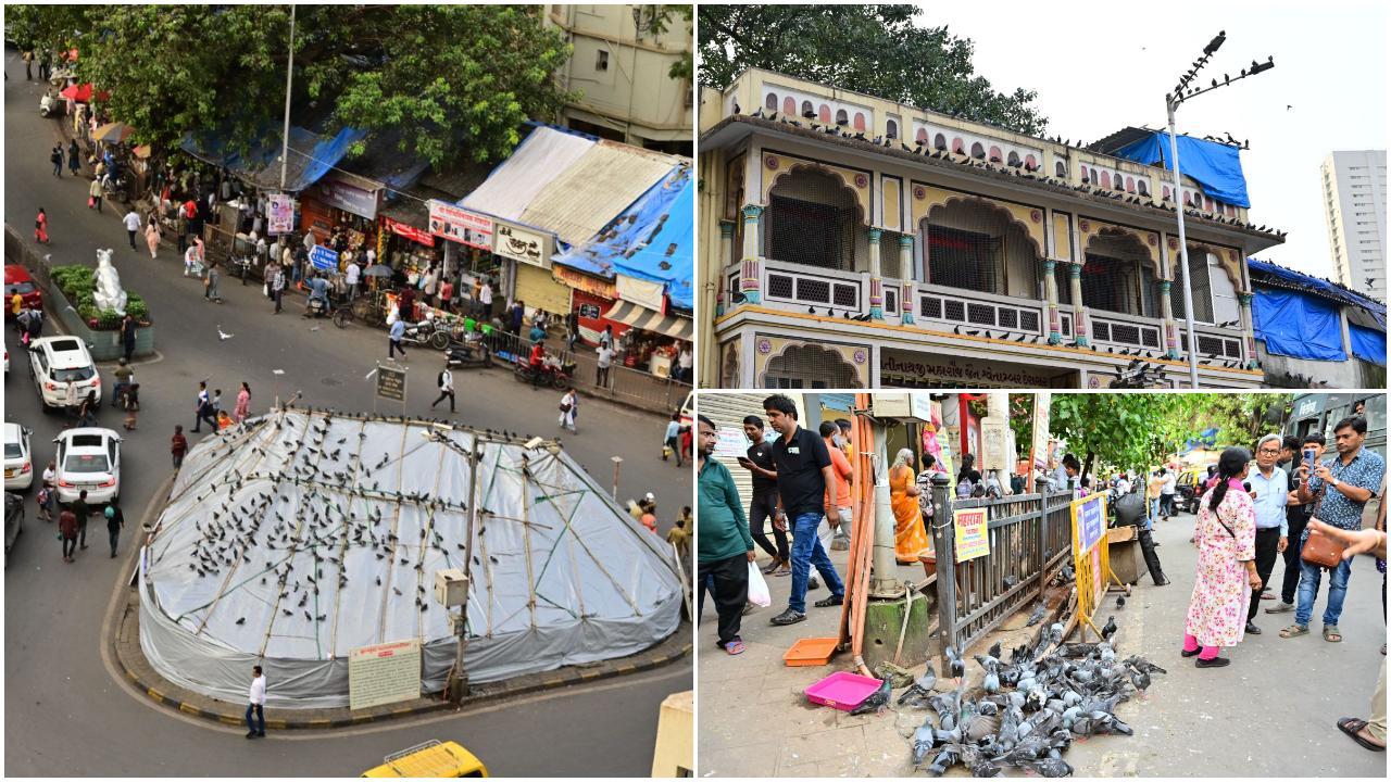 रविवार को बीएमसी अधिकारियों ने दादर में स्थित द्वितीय श्रेणी की विरासत संरचना – कबूतरखाना – के चारे वाले क्षेत्र को पूरी तरह तिरपाल से ढक दिया. (Pic/Shadab Khan)