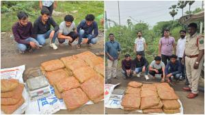 पुलिस के अनुसार, 2 अगस्त को मादक पदार्थ निरोधक प्रकोष्ठ को सूचना मिली थी कि कल्याण और आसपास के इलाकों में गांजा तस्करी का नेटवर्क सक्रिय है. (Story By / Aishwarya Iyer)