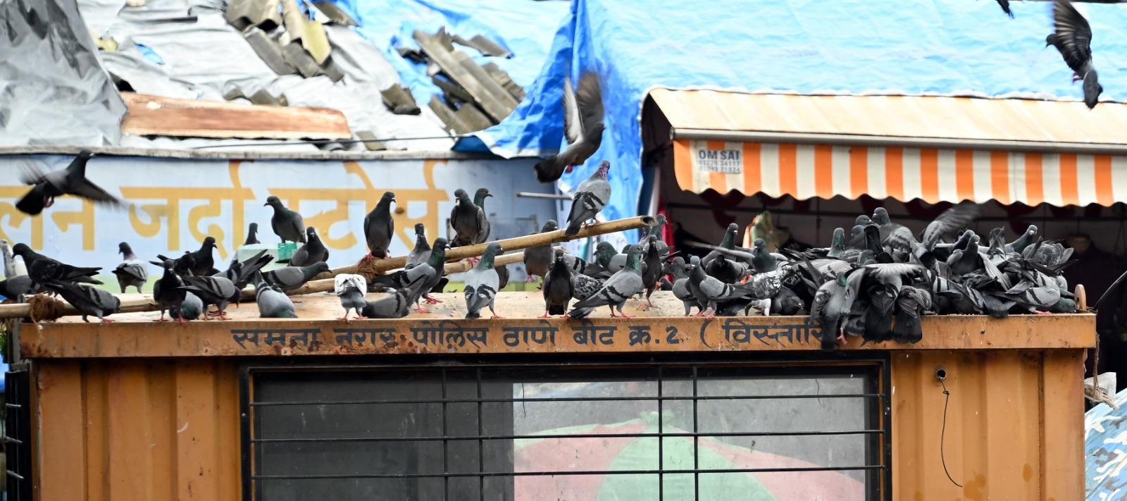 लेकिन कांदिवली का यह मामला दिखाता है कि अभी भी कई लोग खुलेआम इस आदेश का उल्लंघन कर रहे हैं.