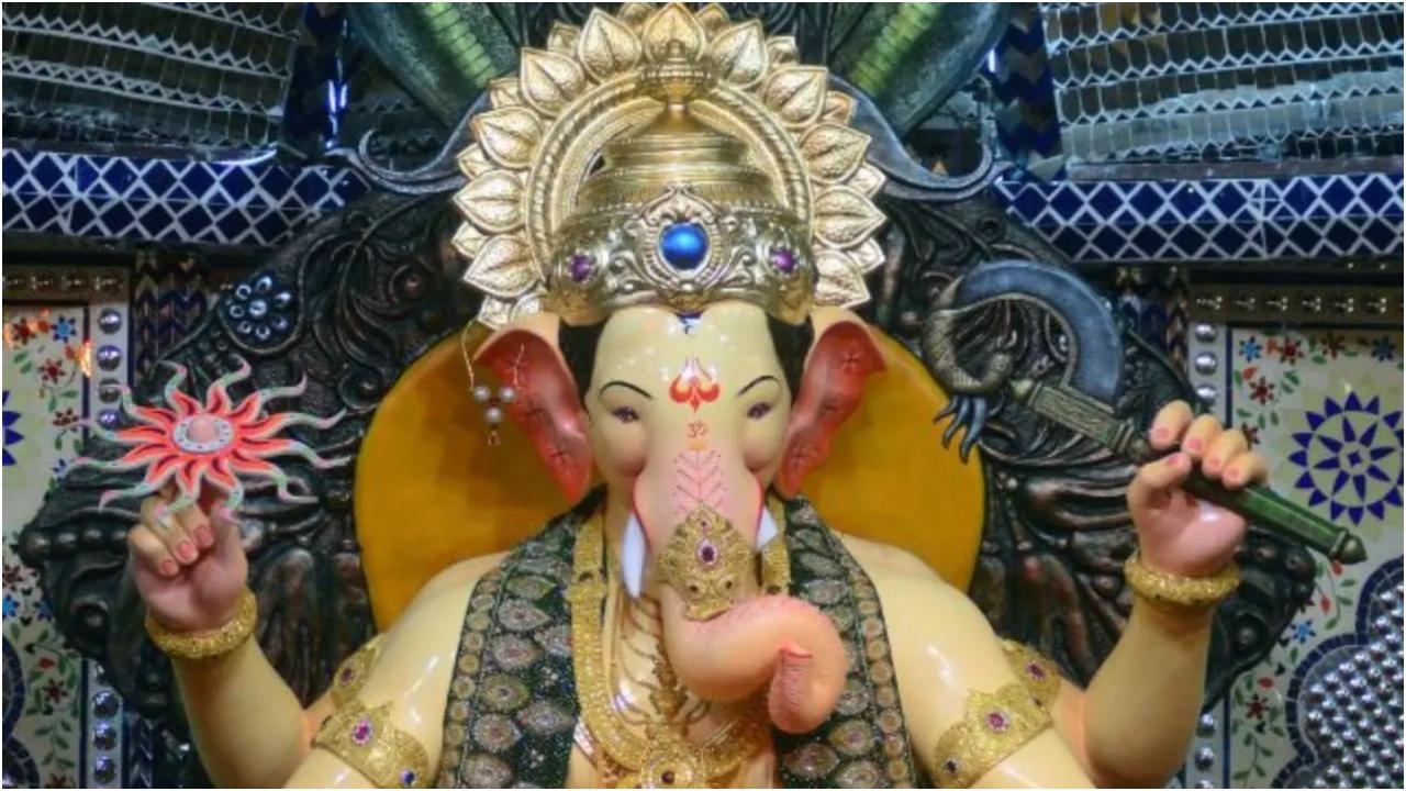 (तस्वीरें/राणे आशीष, अतुल कांबले, आशीष राजे और शादाब खान)