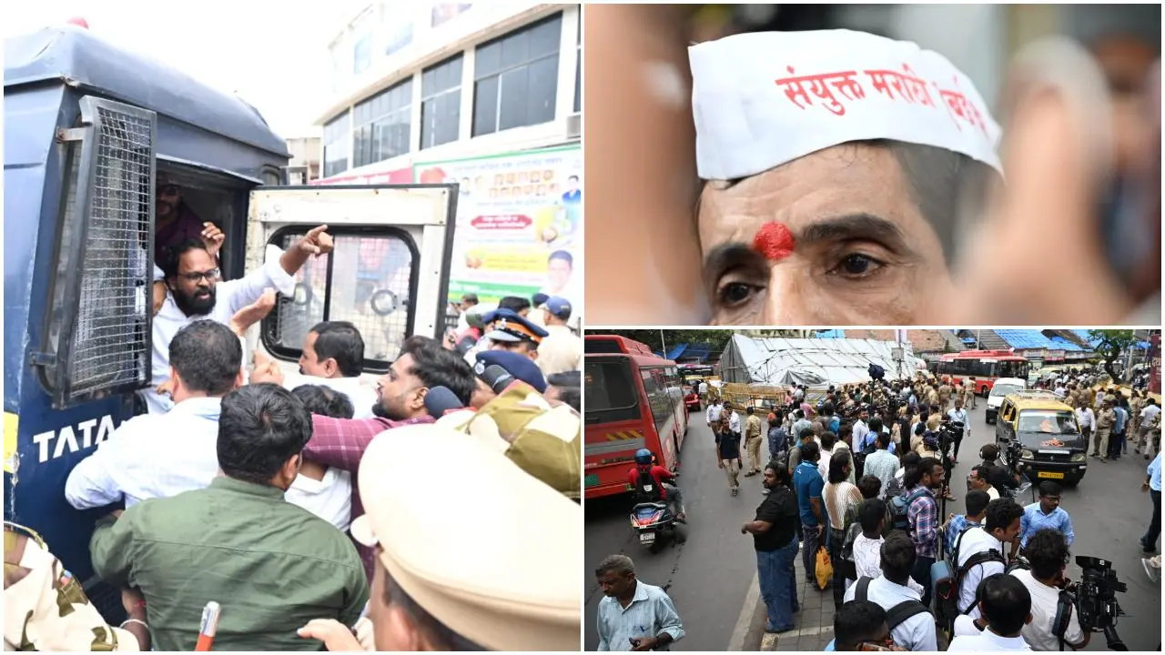 Iकबूतरों को दाना डालने पर सख्ती की मांग, मराठी एकीकरण समिति ने किया प्रदर्शन