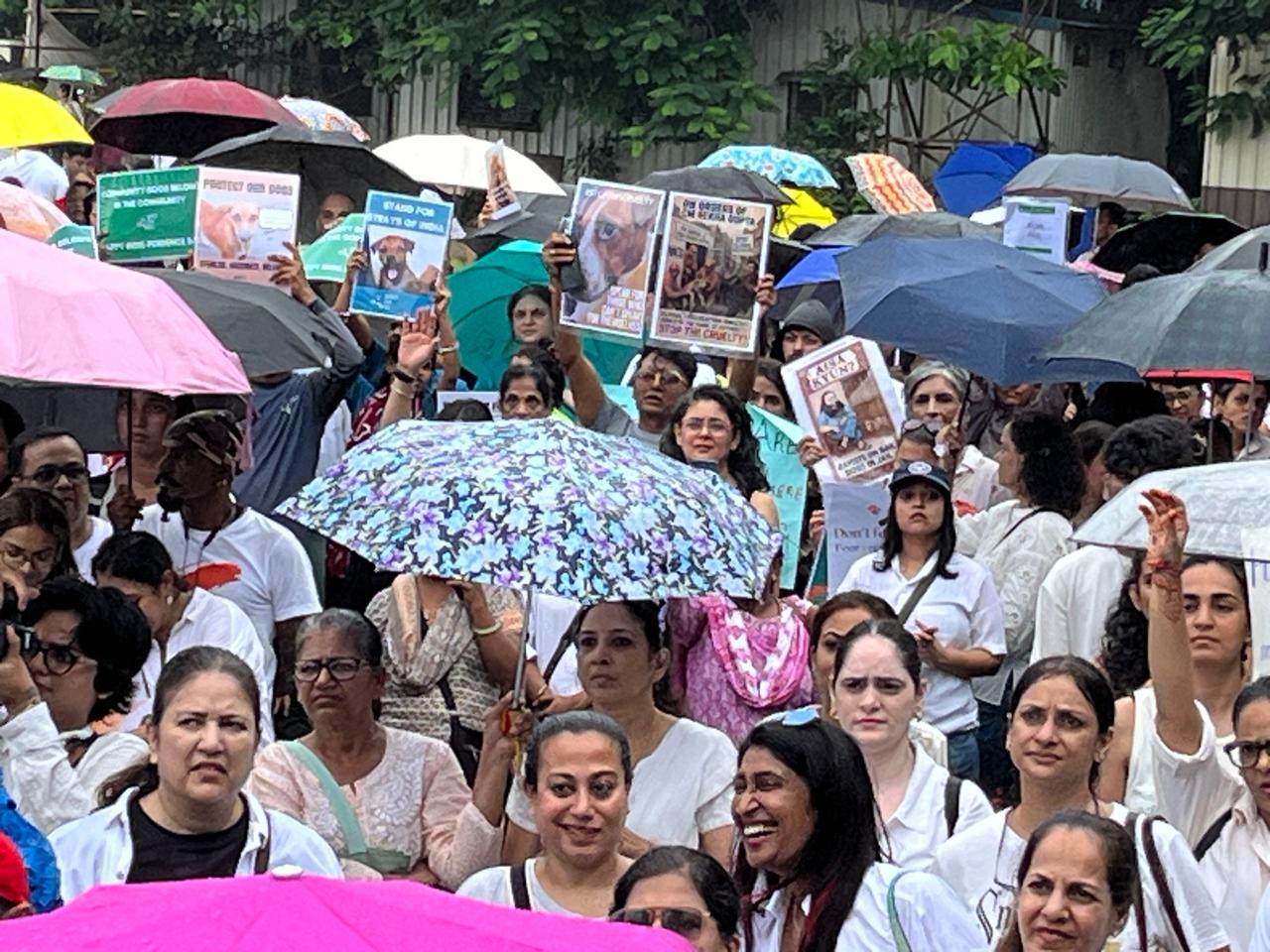 इस विरोध में कई गैर-सरकारी संगठनों और पशु प्रेमियों ने एक प्रस्ताव पारित किया, जिसमें सुप्रीम कोर्ट से 11 अगस्त के आदेश को वापस लेने और केंद्र सरकार से सख्त राष्ट्रीय पशु संरक्षण नीति लागू करने की मांग की गई. 