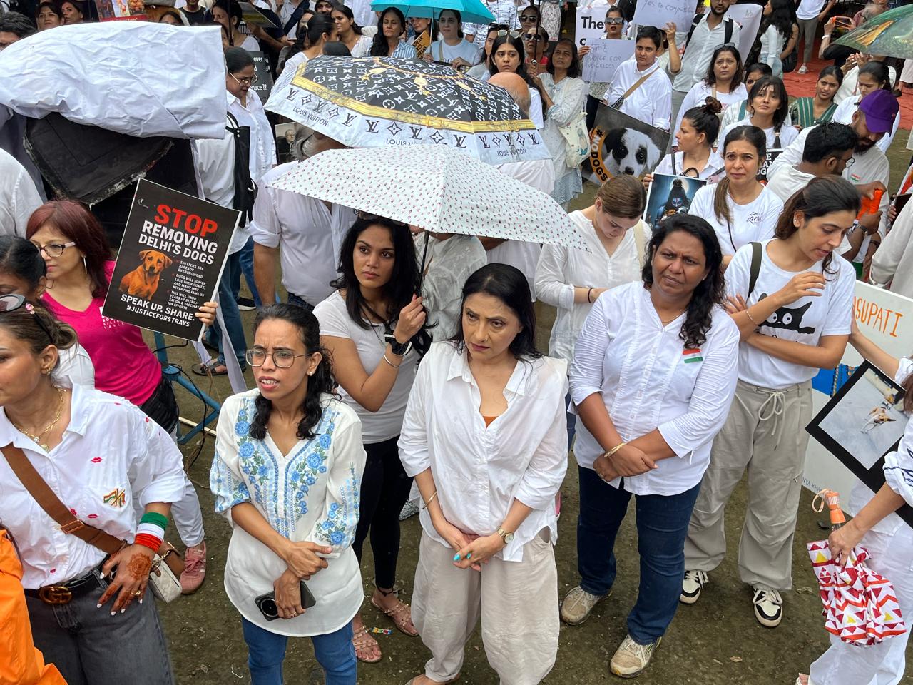 वेटरनरी डॉक्टर समीर पाटिल ने मंच से कहा, “आवारा कुत्तों की संख्या इंसानी लापरवाही का नतीजा है. सज़ा इंसानों को मिलनी चाहिए, जानवरों को नहीं.”