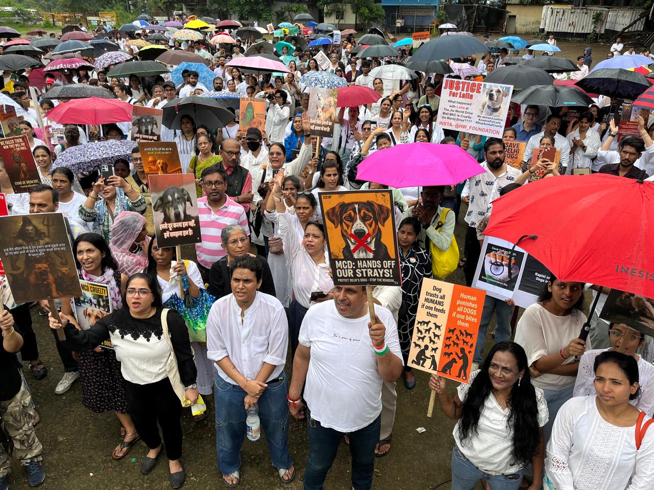 कार्यकर्ताओं ने आरोप लगाया कि नगर निकाय आवारा कुत्तों की समस्या की जड़ — कचरा प्रबंधन की विफलता — पर ध्यान देने के बजाय आसान रास्ता चुनते हैं. उनका कहना था कि वैक्सीनेशन, नसबंदी और पुनर्वास ही स्थायी और मानवीय समाधान हैं.