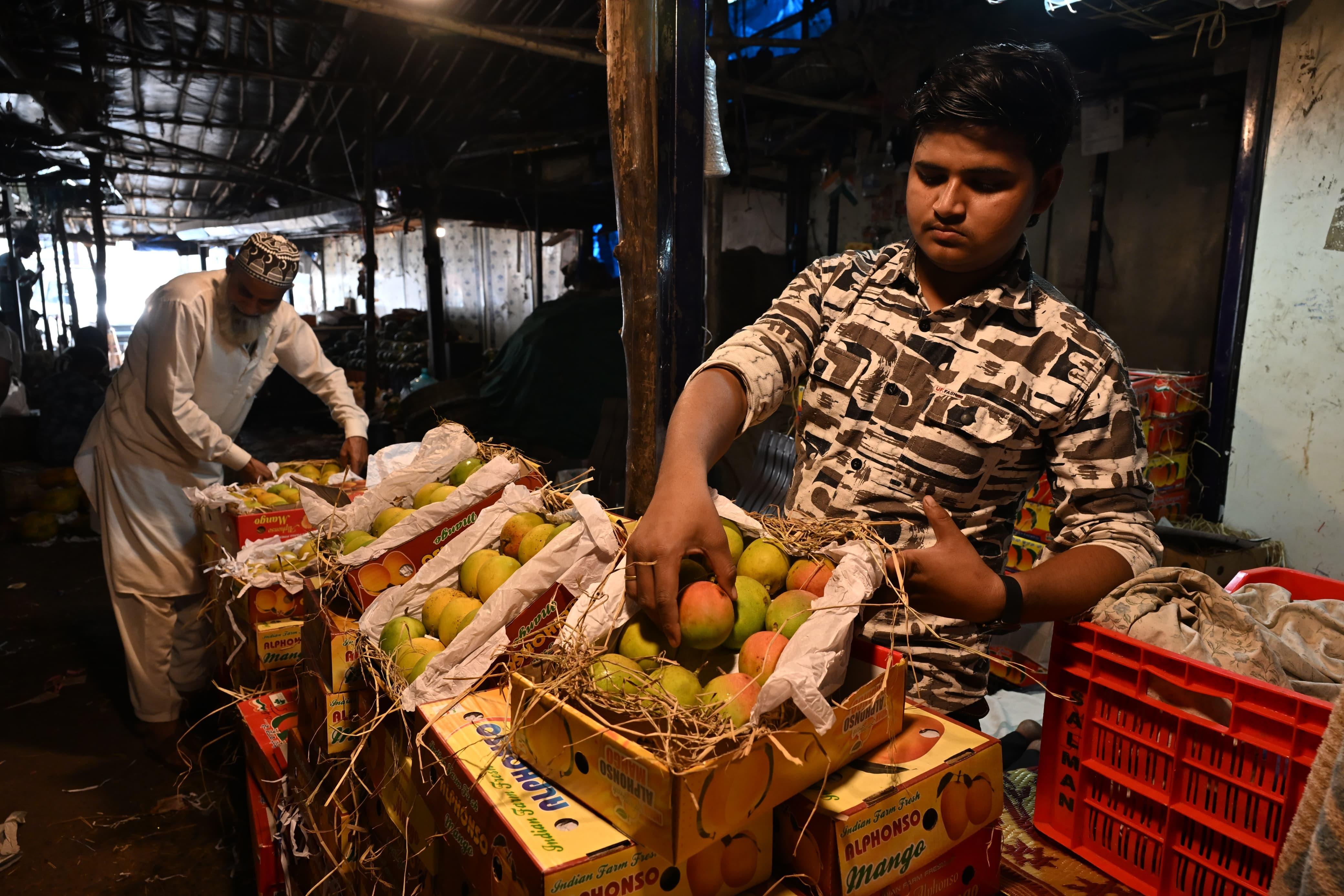 व्यापारियों के मुताबिक, आने वाले हफ्तों में आम की आपूर्ति बढ़ने से इसकी कीमतों में थोड़ी नरमी आ सकती है. अल्फांसो आम सिर्फ स्वाद ही नहीं, बल्कि अपनी उच्च गुणवत्ता और चमकदार पके हुए गूदे के लिए भी मशहूर है. 