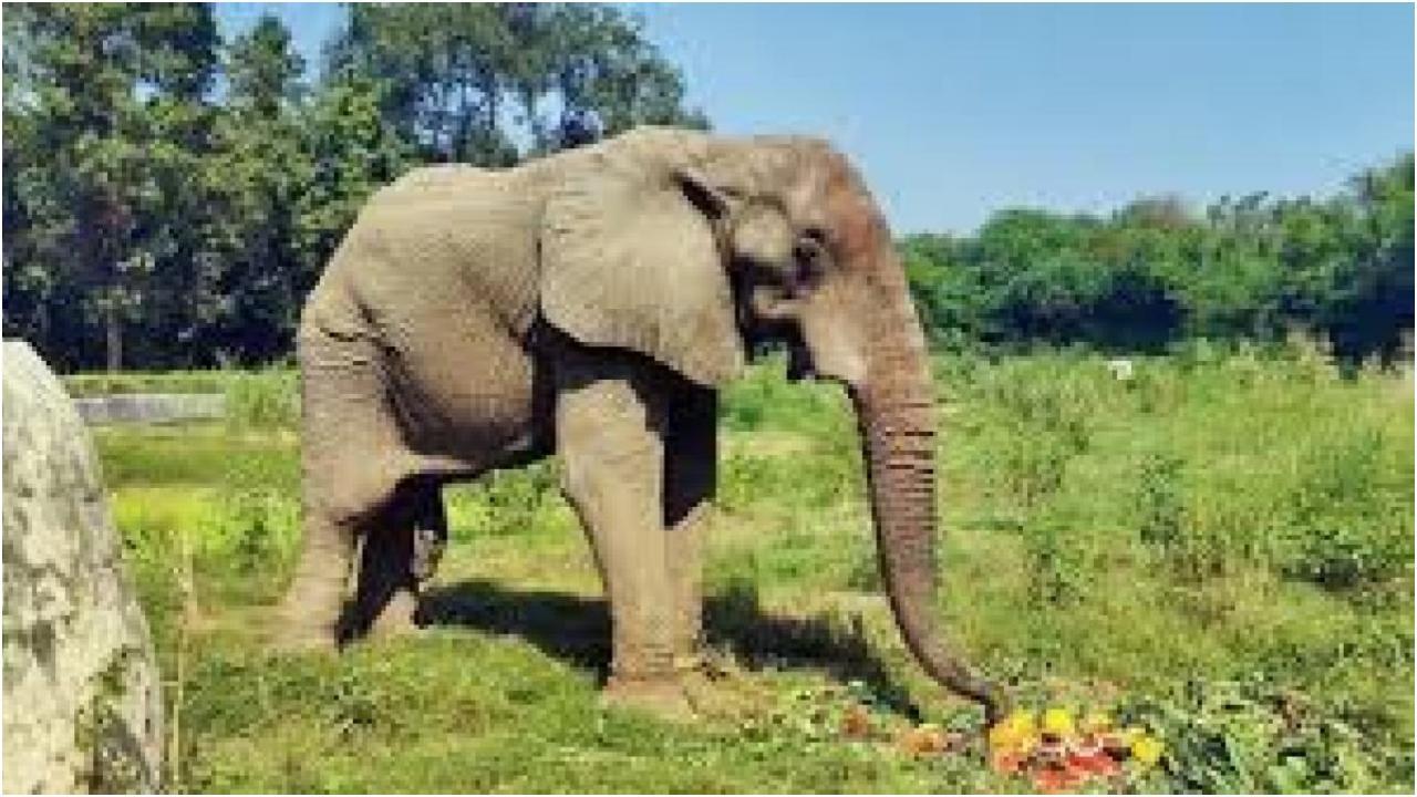 प्रतीकात्मक छवि