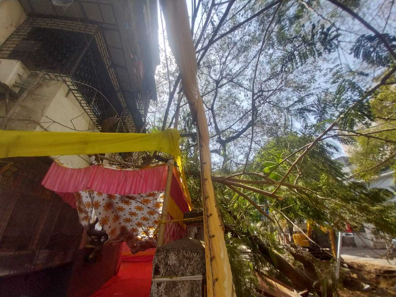 अधिकारियों को पहले से ही कमजोर पेड़ों का आकलन करना चाहिए था, लेकिन उनकी अनदेखी का खामियाजा अब आम नागरिकों को भुगतना पड़ रहा है.