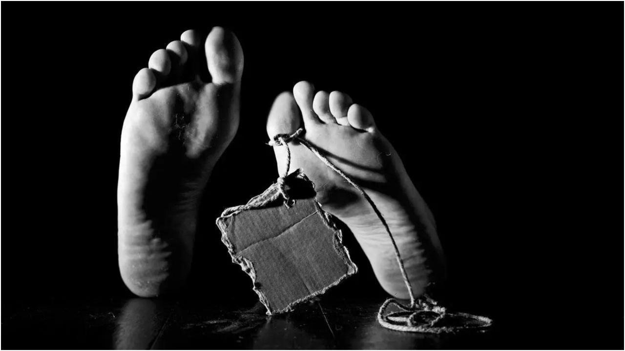 प्रतीकात्मक चित्र. फोटो सौजन्य/आईस्टॉक