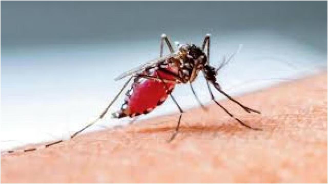 प्रतीकात्मक तस्वीर