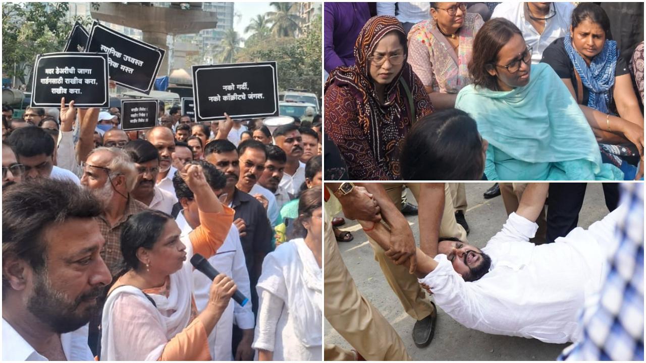 प्रदर्शनकारियों का कहना है कि यह भूमि न केवल क्षेत्र के हरे-भरे फेफड़ों की तरह कार्य करती है, बल्कि यहां के निवासियों के लिए एक महत्वपूर्ण प्राकृतिक संपत्ति भी है. (Pics: Sameer Abedi)