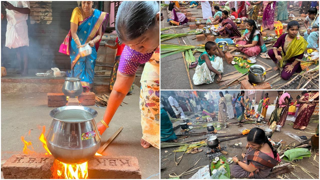 धारावी में दक्षिण भारतीय समुदाय ने इस खास मौके पर अपनी परंपराओं और रीति-रिवाजों को बड़े गर्व और उत्साह के साथ निभाया. (PHOTOS / ATUL KAMBLE)