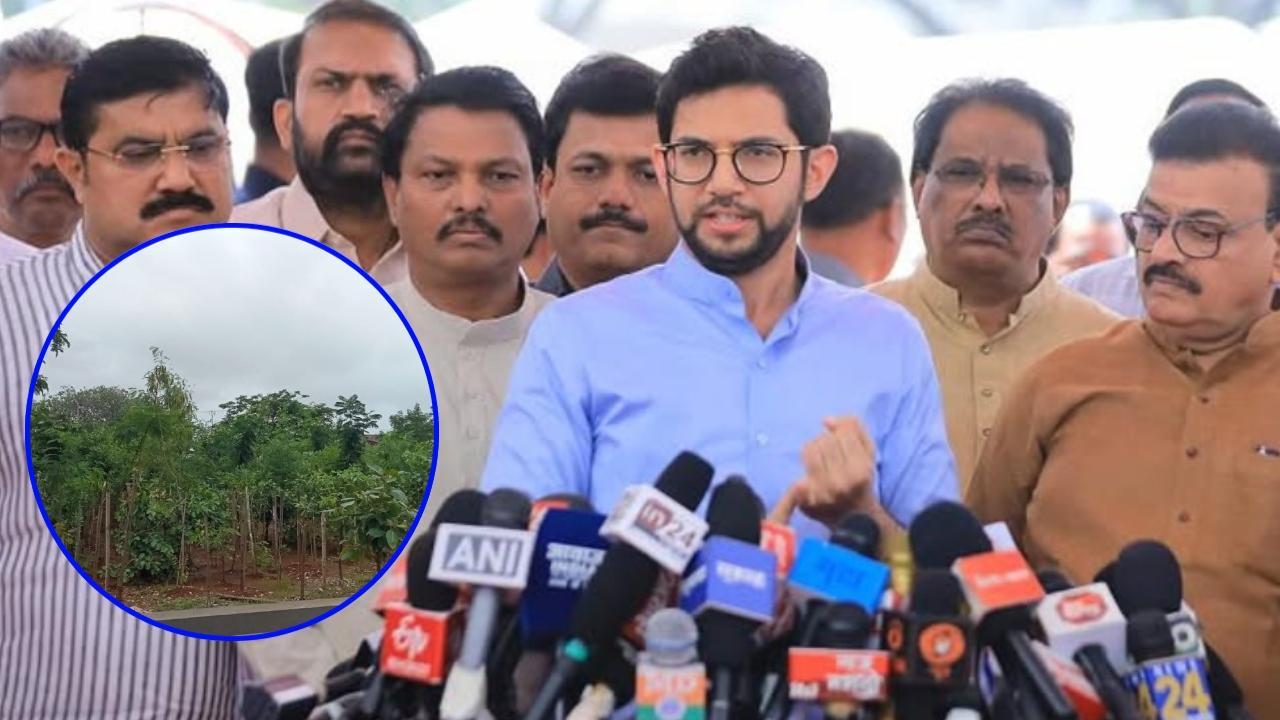 Aaditya Thackeray, X/Pics