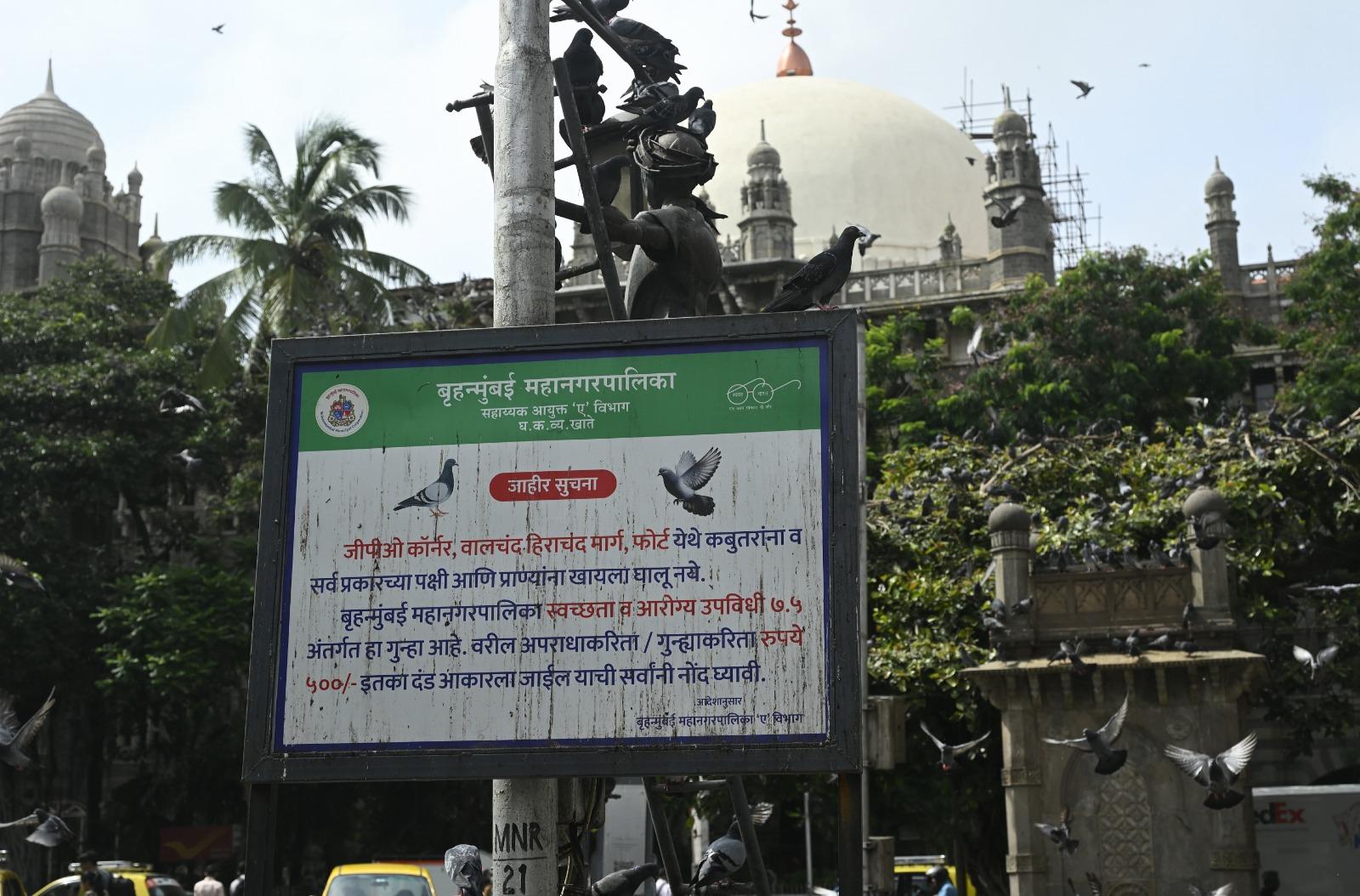 CSMT के जीपीओ कबूतरखाना को लेकर खासतौर पर चिंता जताई गई है, जहाँ बड़ी संख्या में लोग कबूतरों को दाना खिलाने आते हैं. यह इलाका घनी आबादी वाला है और आसपास रहने वाले नागरिकों को इससे स्वास्थ्य संबंधी परेशानियों का सामना करना पड़ रहा है. 
