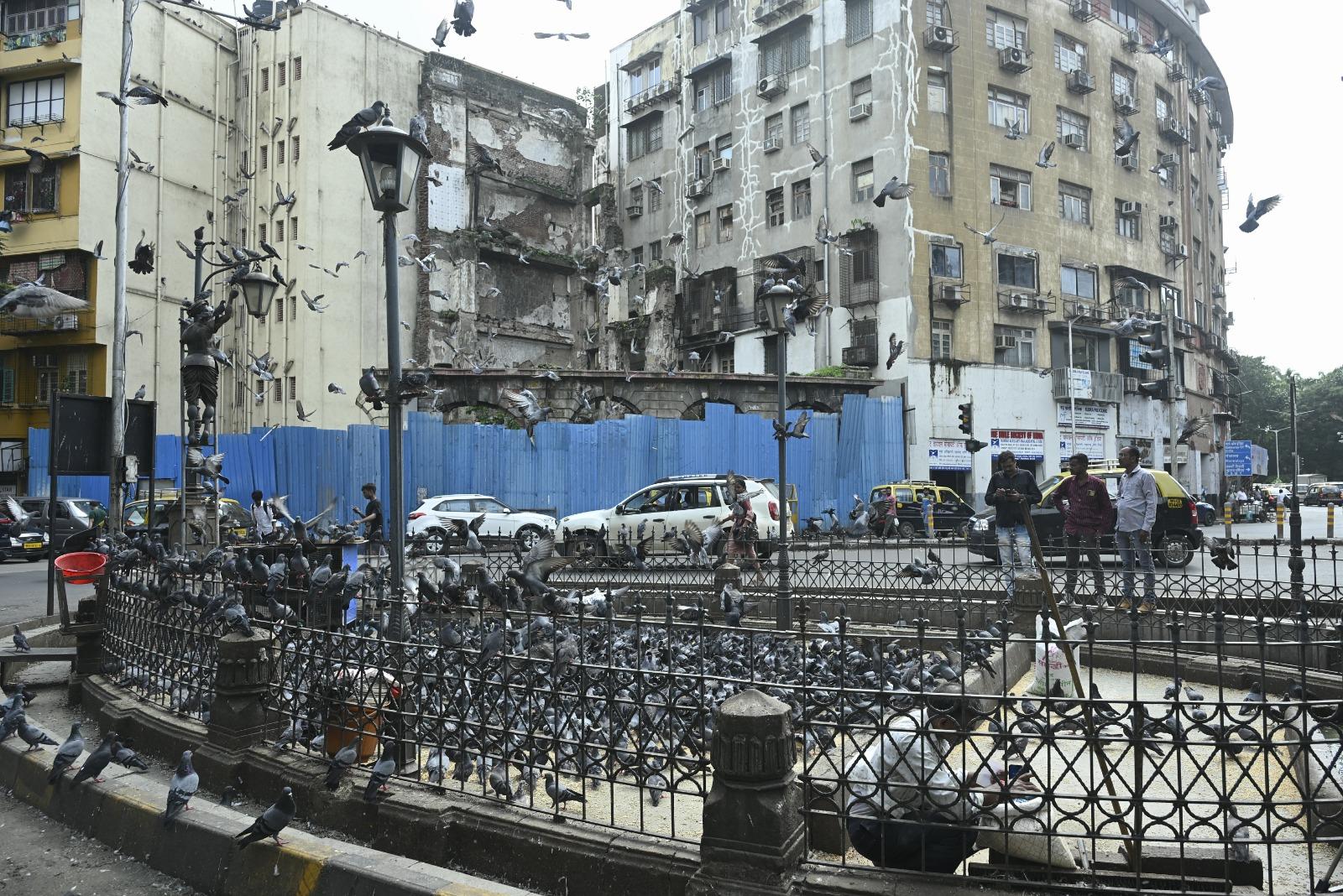 विशेष रूप से अस्थमा, ब्रोंकाइटिस और अन्य सांस संबंधी रोगों के मामले इन इलाकों में अधिक देखने को मिलते हैं.