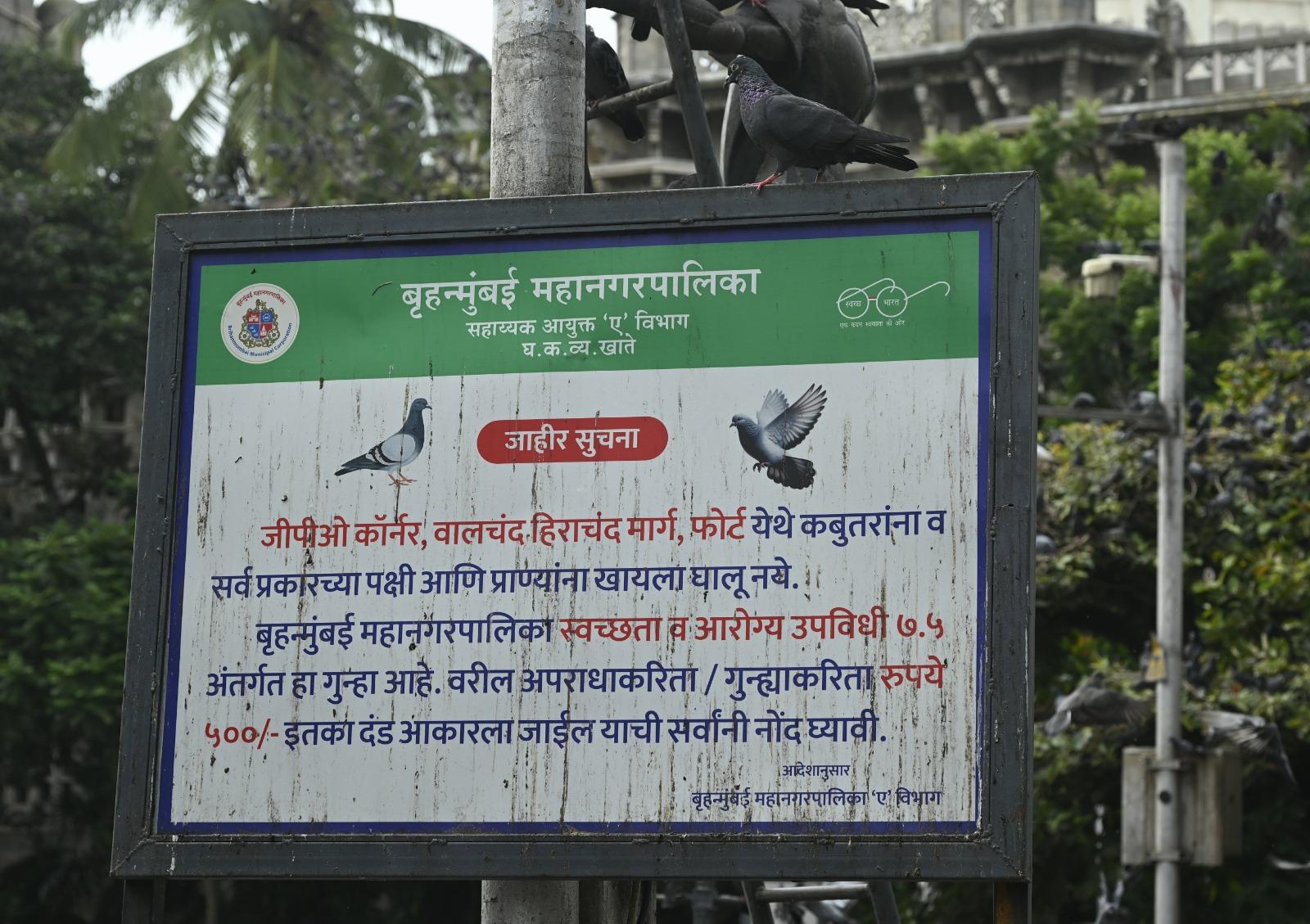 ऐसे में सरकार की यह पहल न सिर्फ ज़रूरी बल्कि जनस्वास्थ्य के लिहाज़ से एक जिम्मेदार कदम माना जा रहा है.