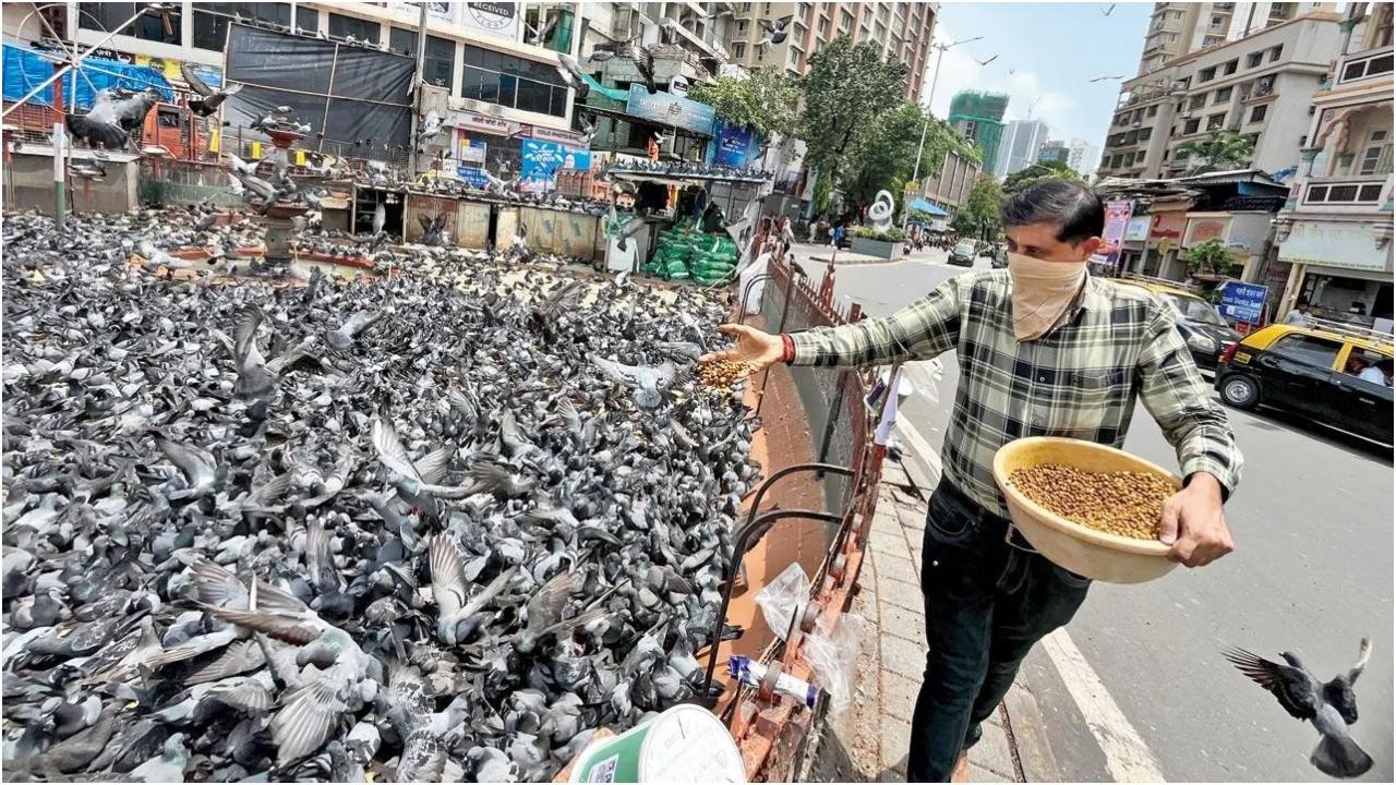 तस्वीर/अतुल कांबले