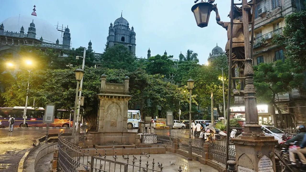 IBMC ने सार्वजनिक स्थानों पर कबूतरों को दाना डालने पर 107 लोगों पर जुर्माना लगाया