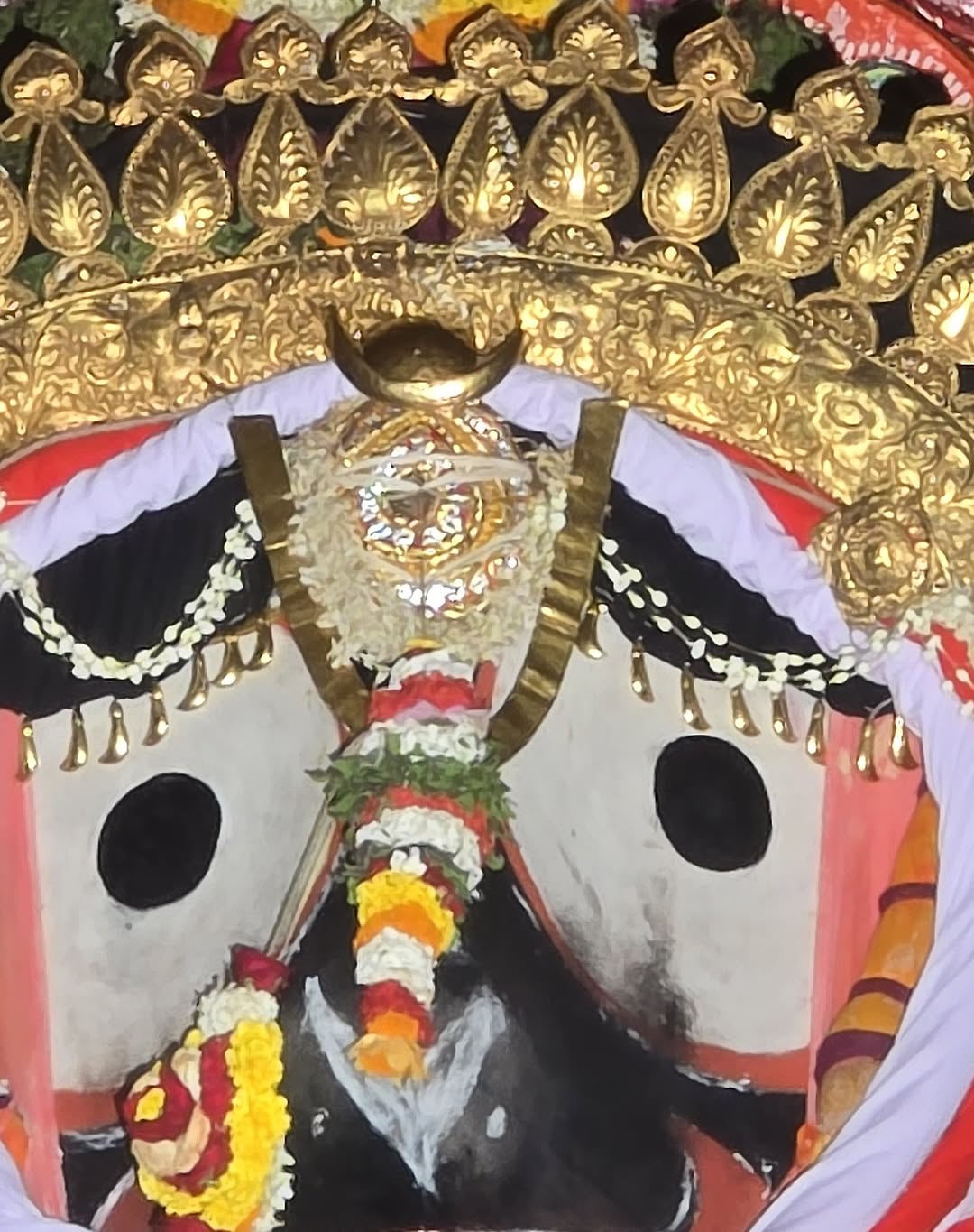 इस दिन लाखों भक्त इस दिव्य आयोजन के गवाह बनते हैं और अपनी आस्था को मजबूत करते हैं.
