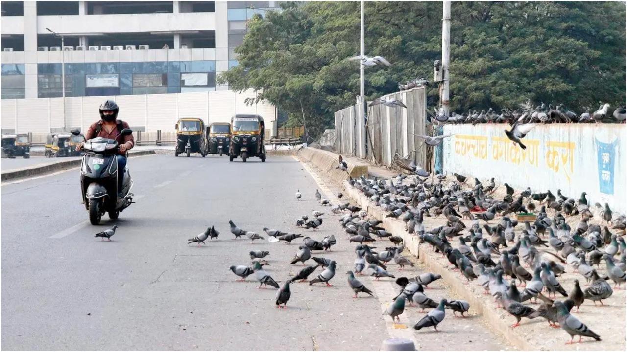 प्रतीकात्मक तस्वीर