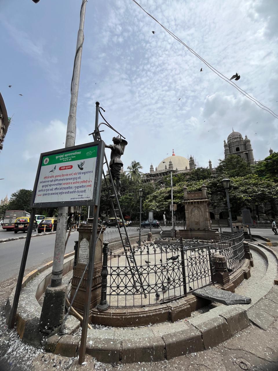 इस प्रक्रिया को लेकर कुछ समस्याएँ भी सामने आई हैं, जैसे कि कबूतरों को डराने के लिए पटाखों का शोर उन पक्षियों को नुकसान पहुँचा सकता है. 