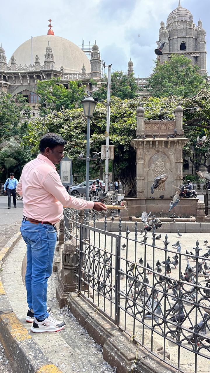 साथ ही, कई कबूतर सड़क पर गिरकर दुर्घटनाओं का शिकार हो सकते हैं. इस विवाद को लेकर बीएमसी और नागरिकों के बीच बहस जारी है.