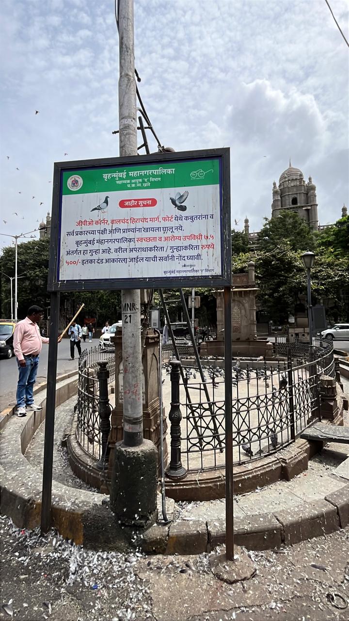 इस दौरान, पटाखों का शोर कबूतरों को डराने का एक तरीका माना जा रहा है. यह माना जा रहा है कि इस तरीके से कबूतरों को स्थान छोड़ने के लिए मजबूर किया जाएगा.