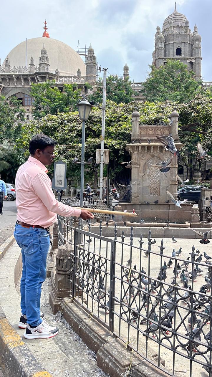 अधिकारियों ने कहा कि यह कदम कबूतरों के अनुशासन में सुधार और नागरिकों को कबूतरों को दाना डालने से रोकने के लिए उठाया गया है.
