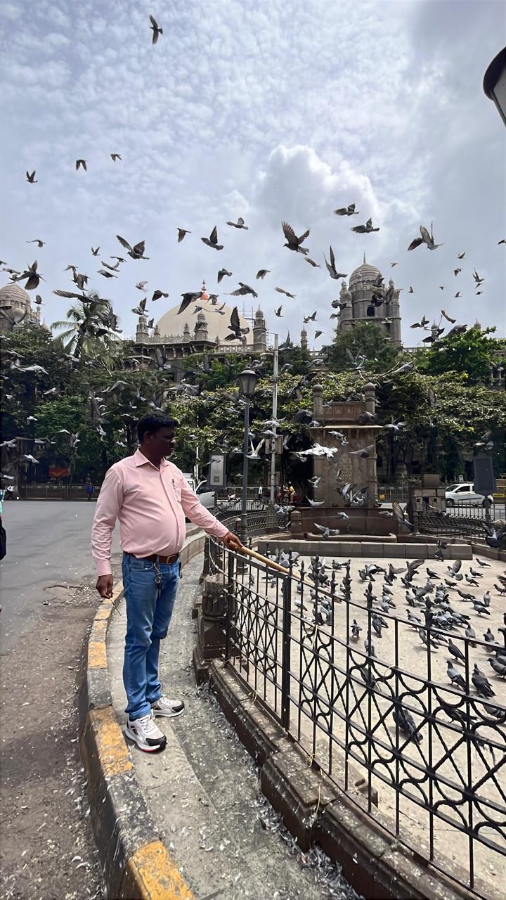 इसके बाद कोठारी की मृत्यु के बाद दान से कबूतरखाने का निर्माण किया गया था. इस स्थल का जीर्णोद्धार 2017 में किया गया, जिसमें फव्वारे की दृश्यता और सतह का जीर्णोद्धार भी किया गया था.