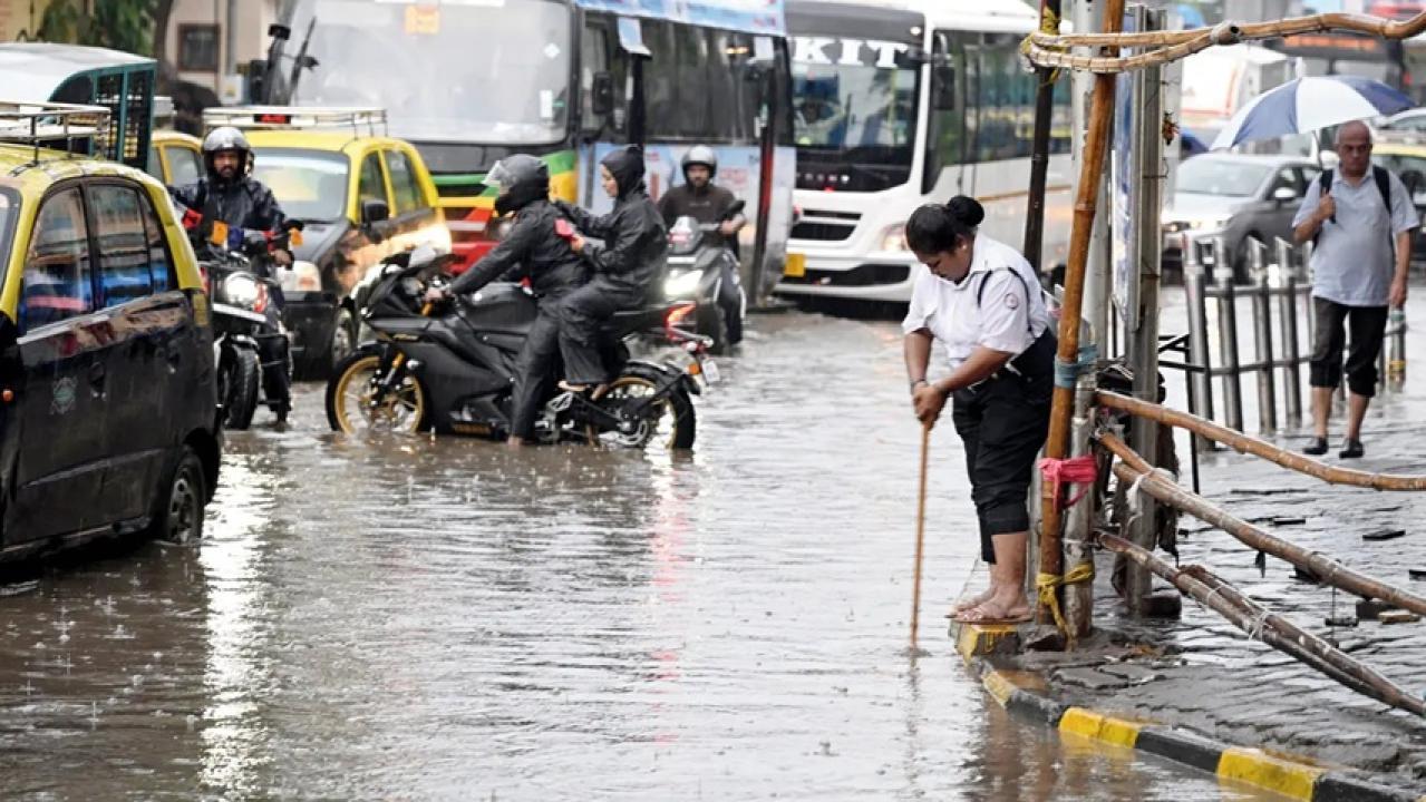 IBMC के आंकड़ों में खुलासा: कल की बारिश में पेड़ गिरने और जलभराव की घटनाएं हुई