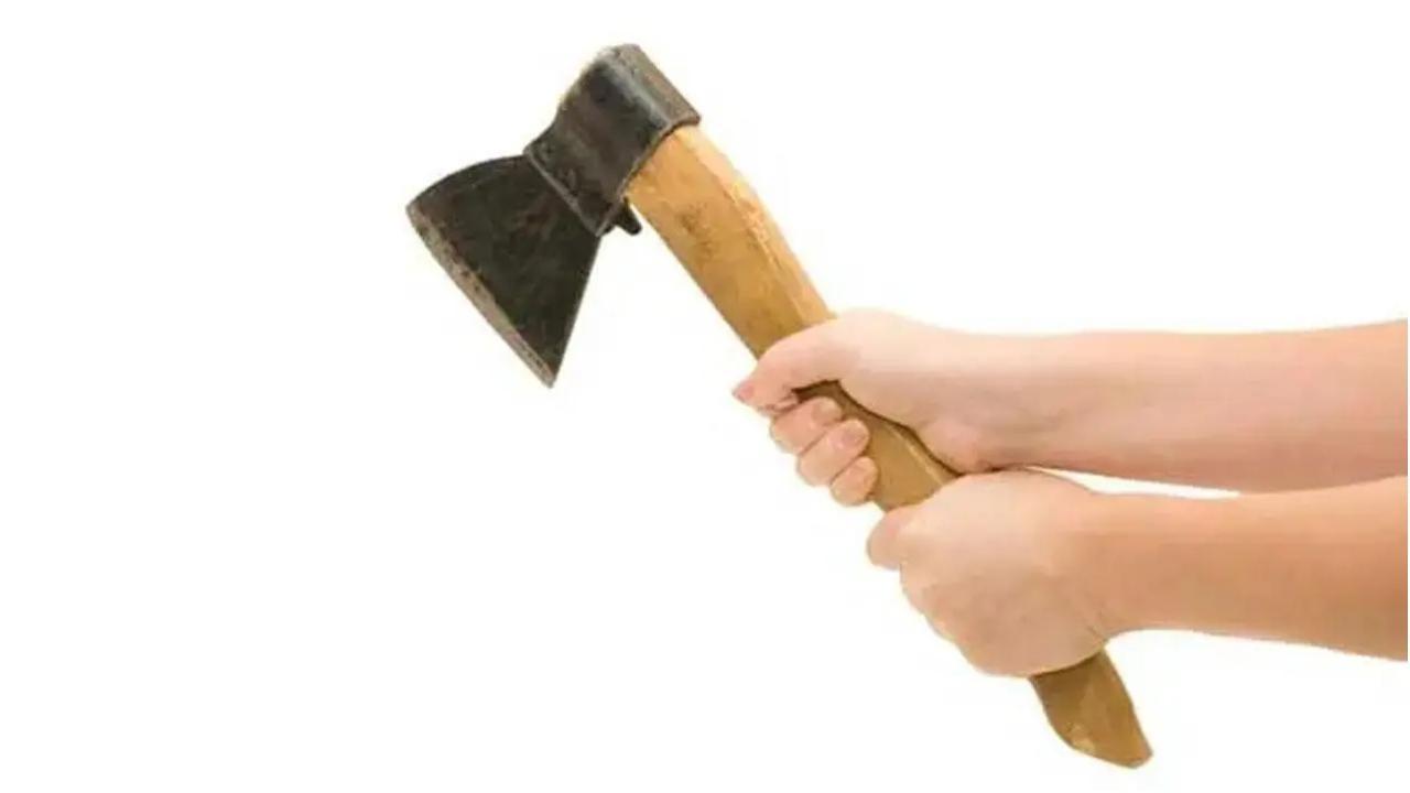 कुल्हाड़ी (प्रतीकात्मक छवि)