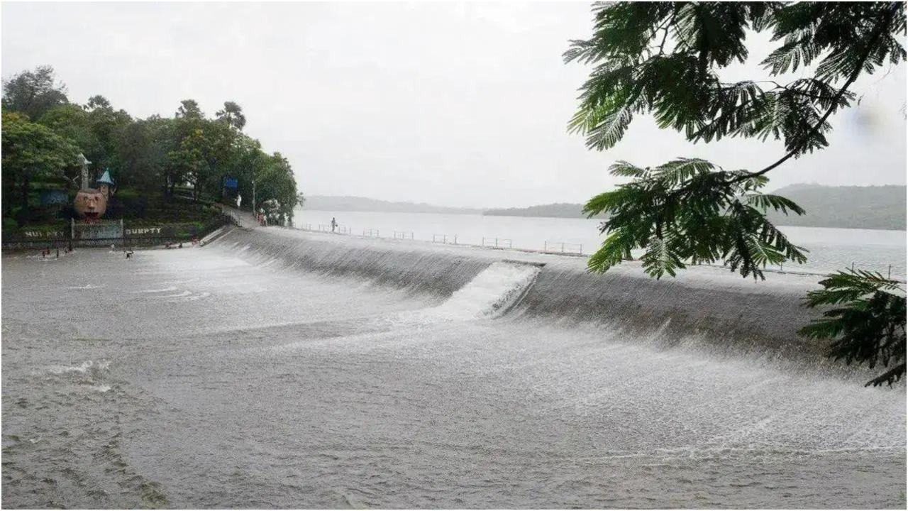 प्रतीकात्मक तस्वीर