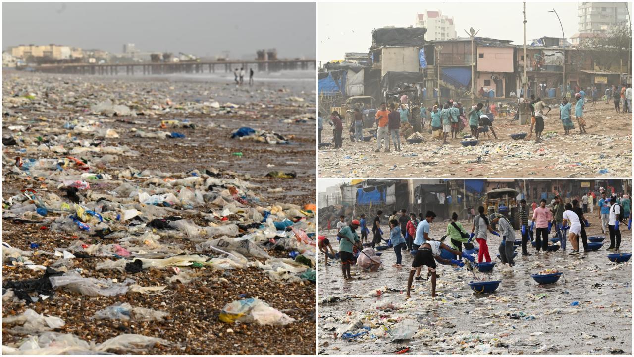 ऊंची लहरों के बाद समुद्र तट पर फैला कचरा, जो समुद्र की लहरों के साथ बहकर आया था, को साफ करने के लिए ये लोग पूरी मेहनत से जुटे हुए थे. (Pics: Satej Sharad Shinde)
