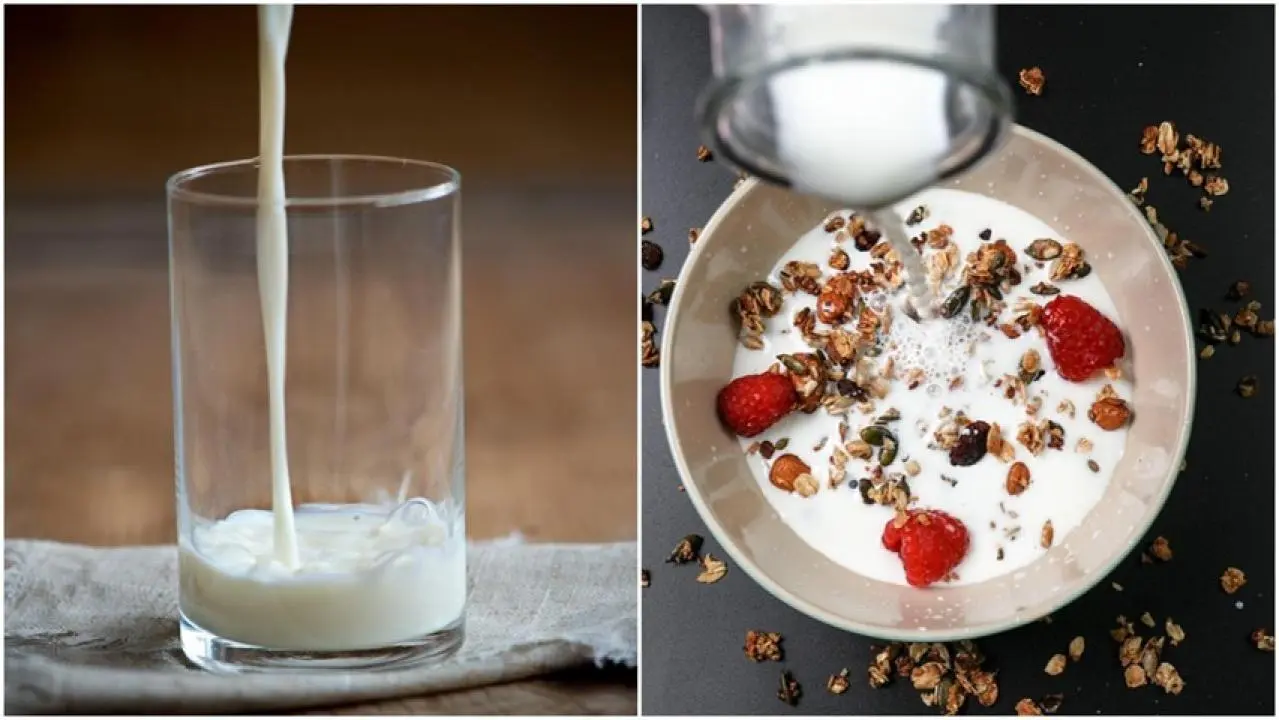 IWorld Milk Day 2025: क्या 30 साल के बाद भी छोड़ देना चाहिए दूध? जानिए सच