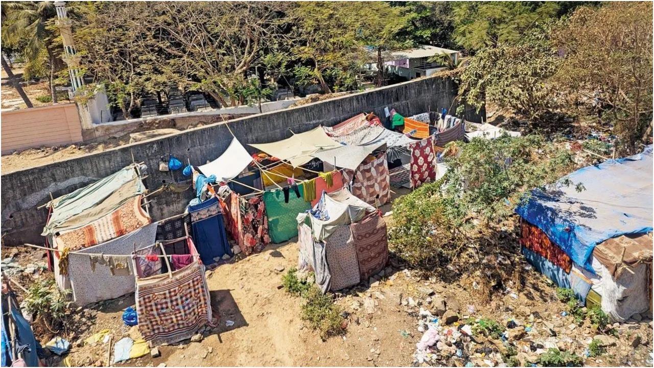 चित्र/राजेंद्र बी. अकलेकर