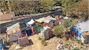 चित्र/राजेंद्र बी. अकलेकर