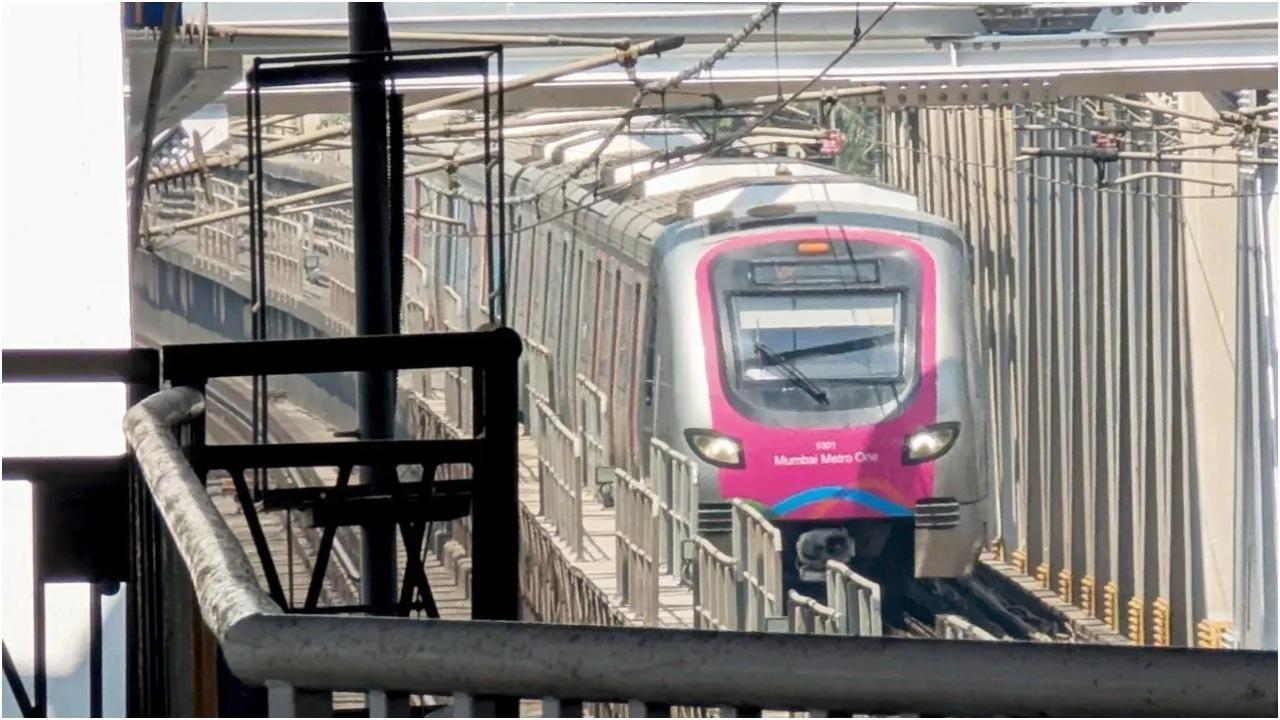 चित्र/राजेंद्र बी. अकलेकर