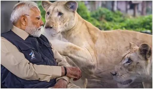 उन्होंने एक बड़ा अजगर, एक अनोखा दो सिर वाला सांप, एक दो सिर वाला कछुआ, एक टैपिर, तेंदुए के बच्चे जिन्हें एक खेत के मैदान में छोड़ दिया गया था और बाद में ग्रामीणों द्वारा बचाया गया था, विशाल सील, ऊदबिलाव और बोंगो (हिरन) भी देखे. उन्होंने हाथियों को एक विशाल जलकुंड में स्नान करते हुए भी देखा.