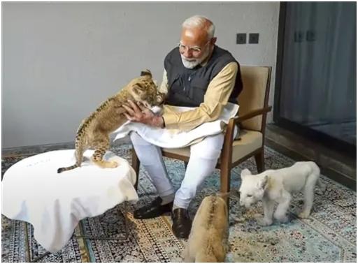 पीएम मोदी को वनतारा में, एशियाई शेर शावक, सफेद शेर शावक, क्लाउडेड तेंदुए शावक जो एक दुर्लभ और लुप्तप्राय प्रजाति है, कैराकल शावक (एक प्रकार की जंगली बिल्ली) सहित जानवरों की विभिन्न प्रजातियों के साथ खेलते देखा गया और पीएम ने इन शावकों को दूध भी पिलाया.
