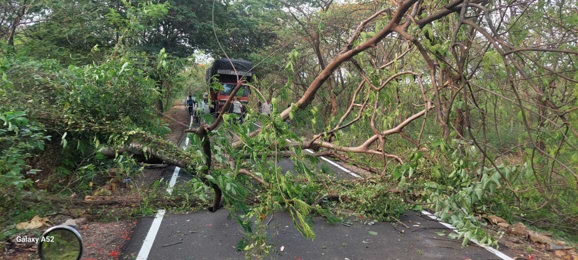 आरे मिल्क कॉलोनी क्षेत्र में भी इन अलर्टों का असर दिखा और तेज हवा की वजह से पेड़ का गिरना एक चुनौतीपूर्ण स्थिति उत्पन्न कर गया. स्थानीय प्रशासन ने तुरंत ही घटना स्थल पर पहुंचकर यातायात को नियंत्रित किया और पेड़ को हटाने का कार्य शुरू किया.