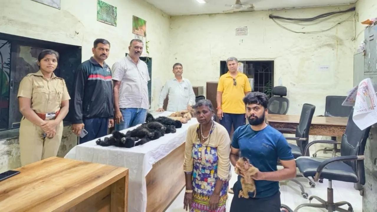 Iदक्षिण मुंबई के होटल में वन विभाग का छापा, मलेशियाई नागरिक समेत दो गिरफ्तार