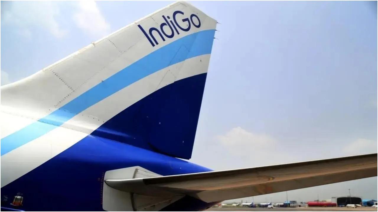 प्रतीकात्मक तस्वीर/फ़ाइल/आईस्टॉक