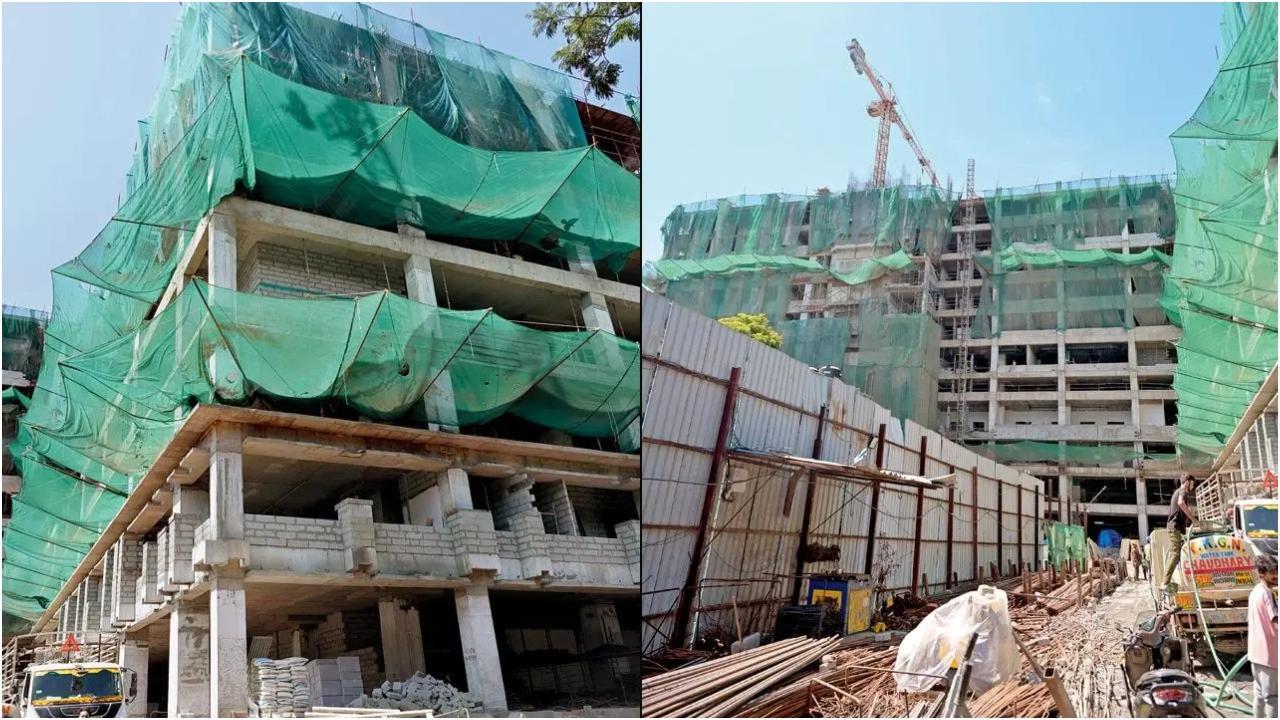 तस्वीरें/सैय्यद समीर अबेदी