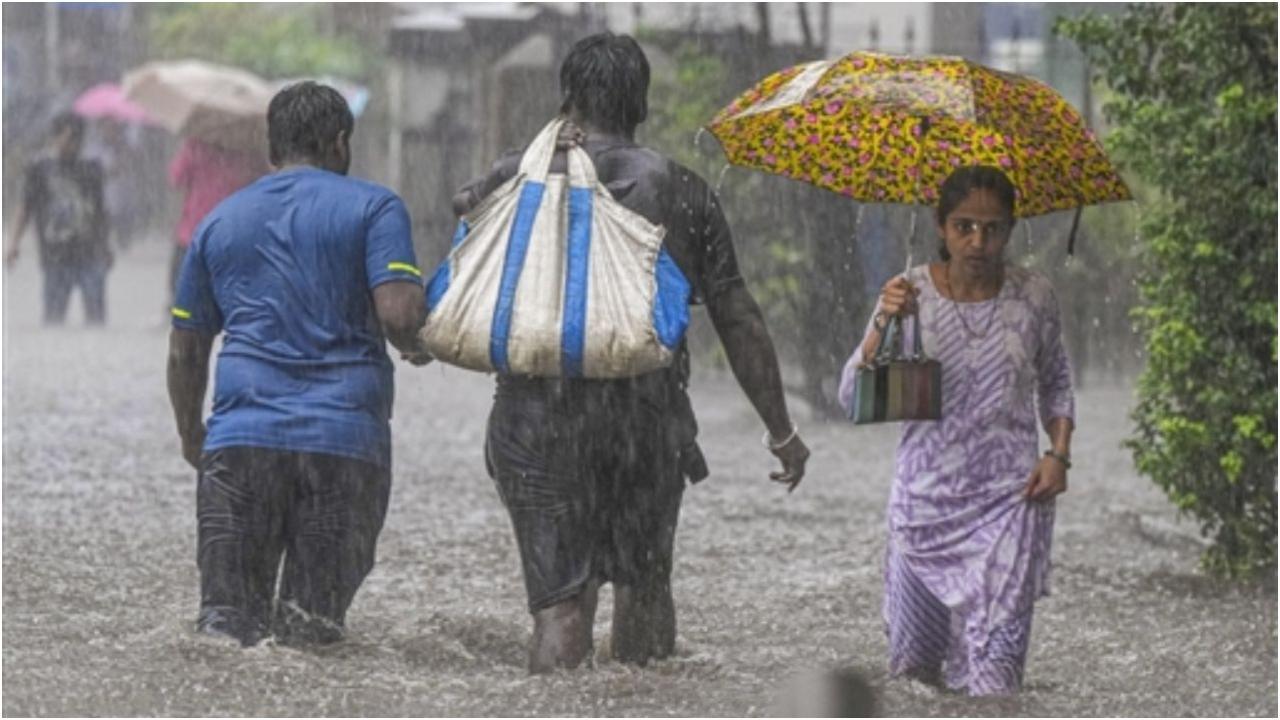 प्रतीकात्मक तस्वीर/फ़ाइल