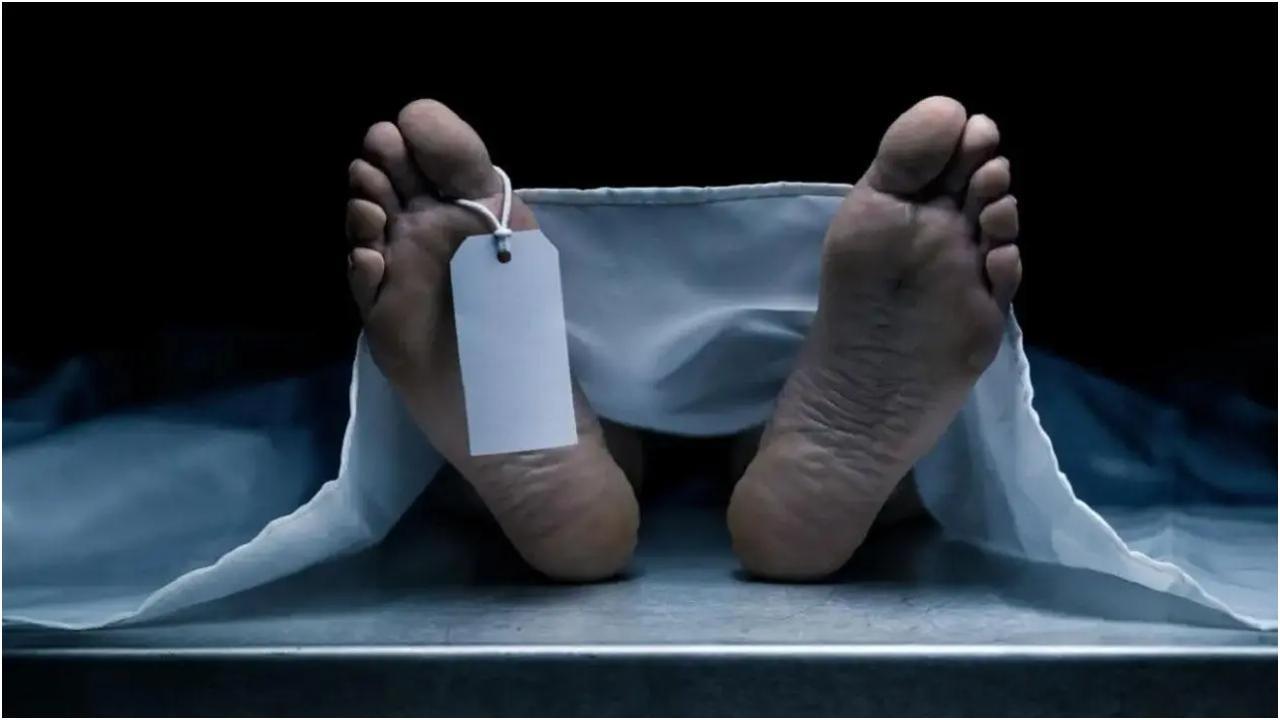 प्रतीकात्मक छवि