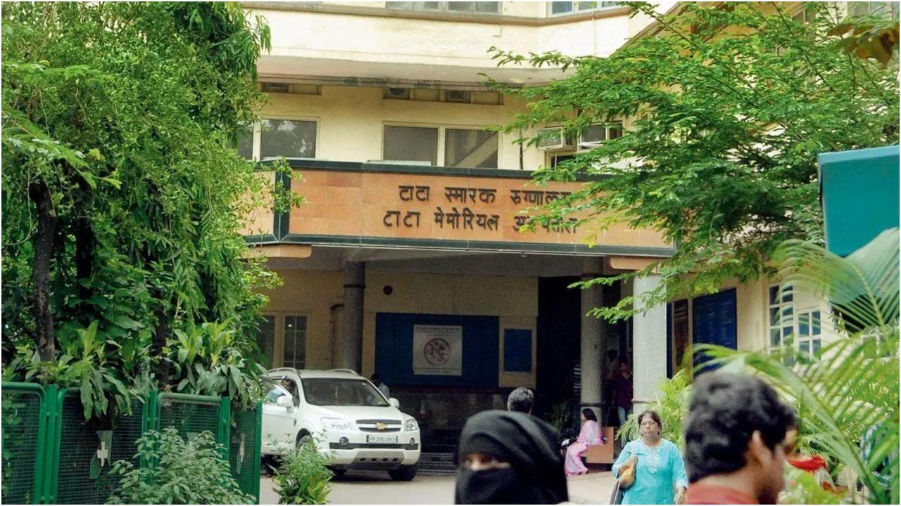 फाइल फोटो