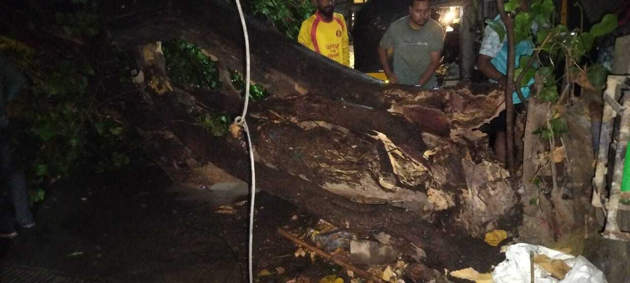 इस घटना के बाद स्थानीय प्रशासन और आपातकालीन सेवाएं मौके पर पहुंची और गिरें हुए पेड़ को हटाने के लिए काम शुरू किया. हालांकि, तूफान और बारिश की वजह से कई गाड़ियों को रास्ते में फंसे रहने की समस्या आई. सड़कों पर पानी भरने और पेड़ गिरने से ट्रैफिक जाम की स्थिति उत्पन्न हो गई, जिससे कई घंटों तक यातायात प्रभावित रहा.