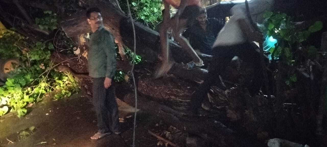 वहीं, मुंबई के अन्य इलाकों में भी मौसम में अचानक बदलाव के कारण हल्की बारिश और तेज हवाएं चलीं. मौसम विभाग ने कहा है कि अगले कुछ दिनों में और भी ऐसे तूफान आ सकते हैं, जिसके लिए शहरवासियों को सतर्क रहने की सलाह दी गई है.